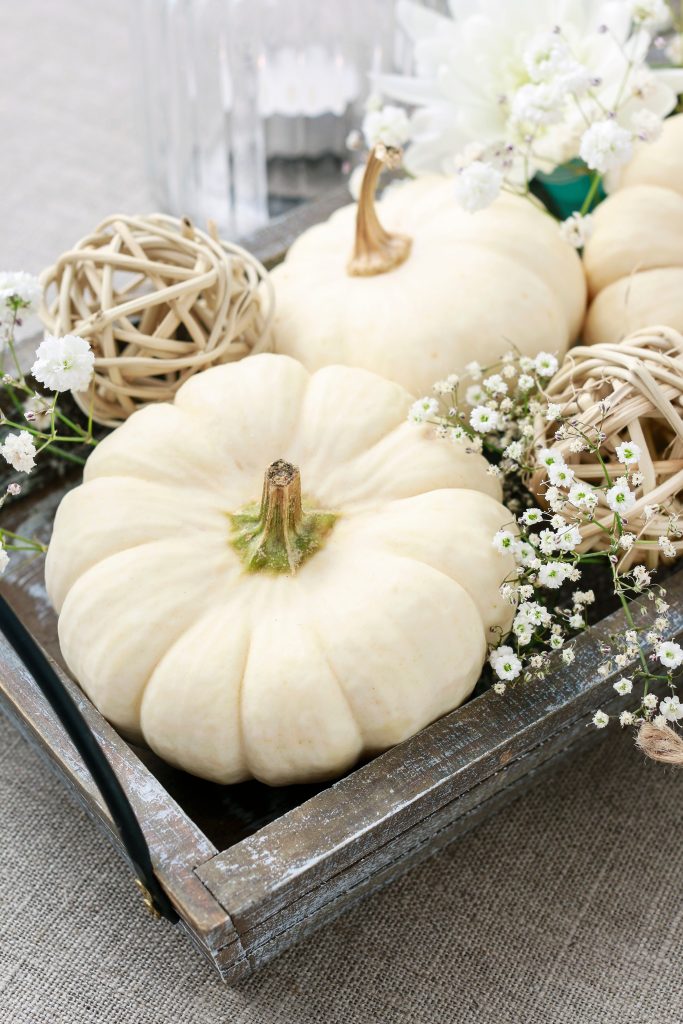 white mini cresperita pumpkins in weathered grey wooden accent tray with baby's breath and round woven twig balls