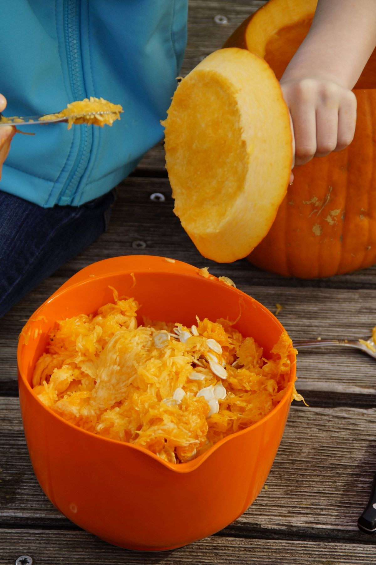 child holding pumpkin stem and cut out lid - scooping seeds and pulp into an orange plastic bowl