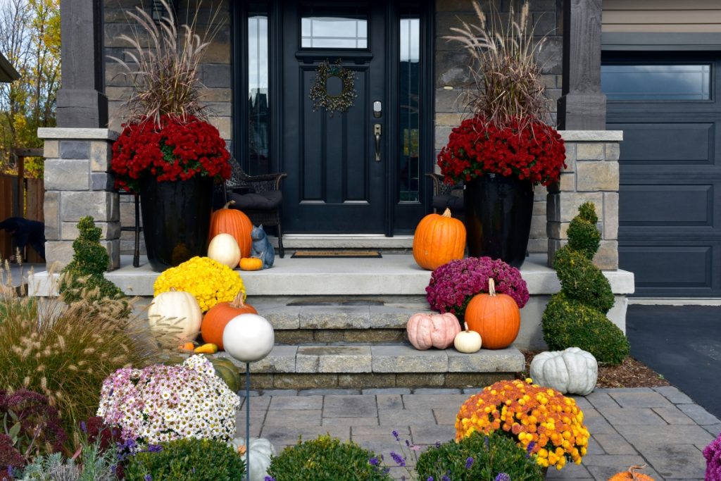 front porch scene - black door with stone facade, large black urn planters with burgundy flowers flanked by craftsman style pillars, and a variety of pumpkins and crysanthamums adorning the sides of every step and the foreground.