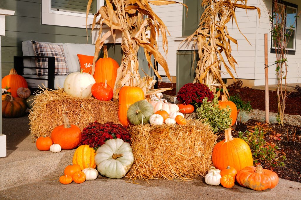 fall porch vignette - concrete walkway with one step to porch with hay bales, corn stalks, pumpkins of all shapes and sizes, mums in burgandy and light grey home with white trim, plus porch couch in background