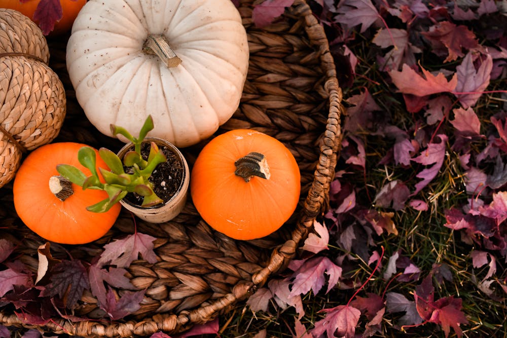 Warm Your Home with Pumpkin Spiced Charm